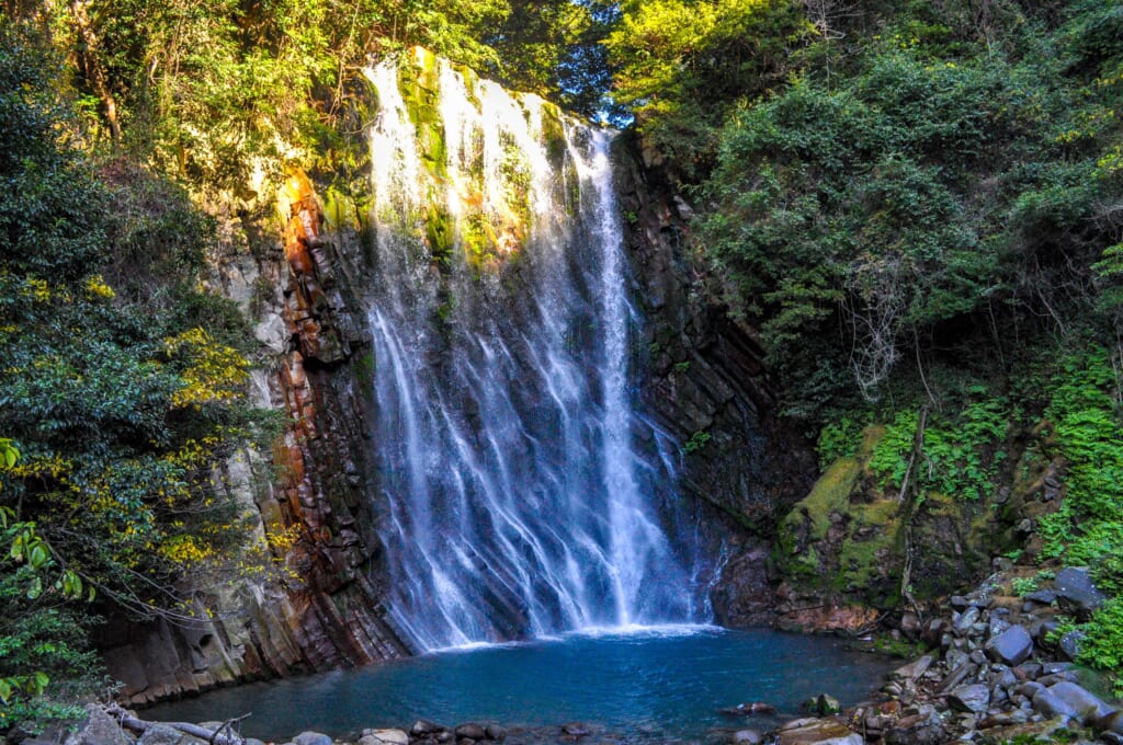 Wasserfall in einem Wald in Japan.