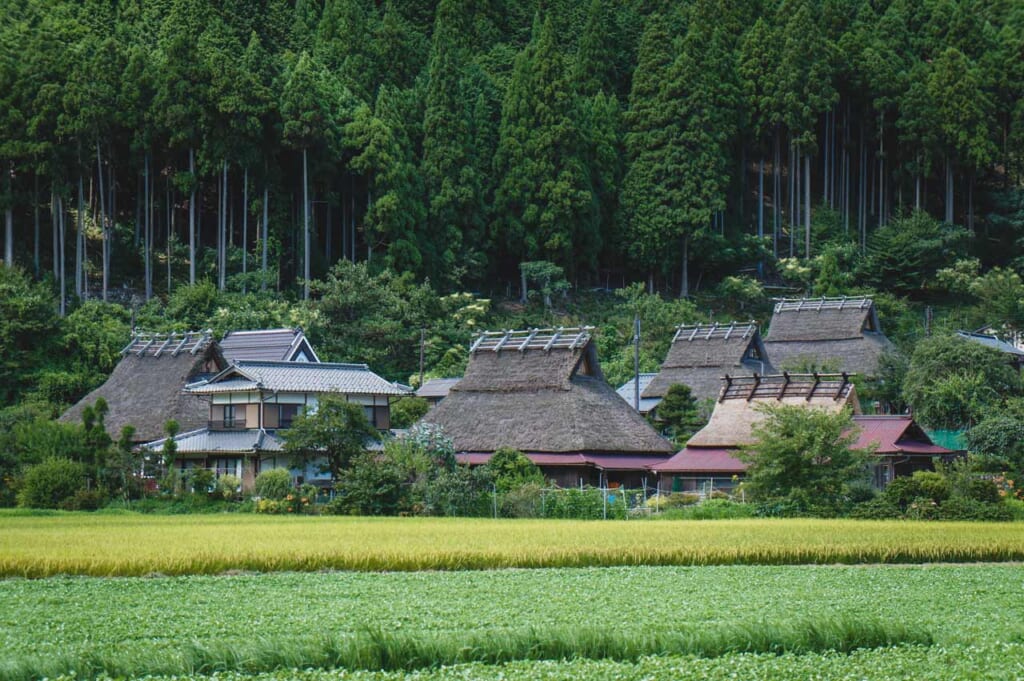 Japanisches Dorf in der Region Kansai.