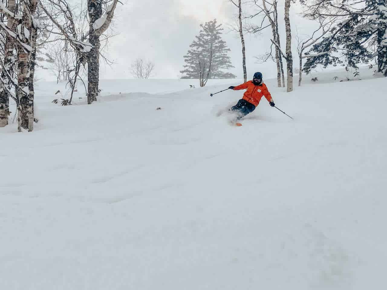 Skifahren in Hokkaido im Pulverschnee.