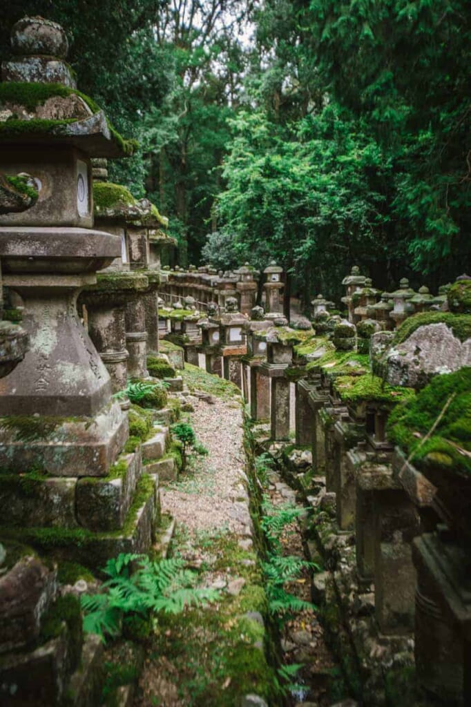 Steinlaternen in Japan.