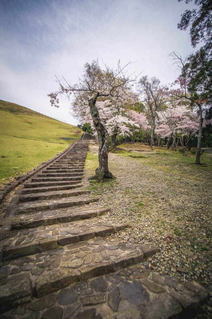 Die Stufen führen den Berg Wakakusa hinauf.