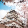 Warum mundschutz in japan - Die hochwertigsten Warum mundschutz in japan unter die Lupe genommen!