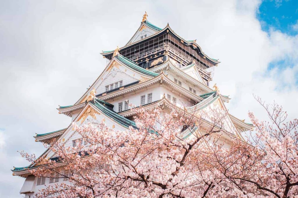 Die Burg Osaka mit Kirschblüten.