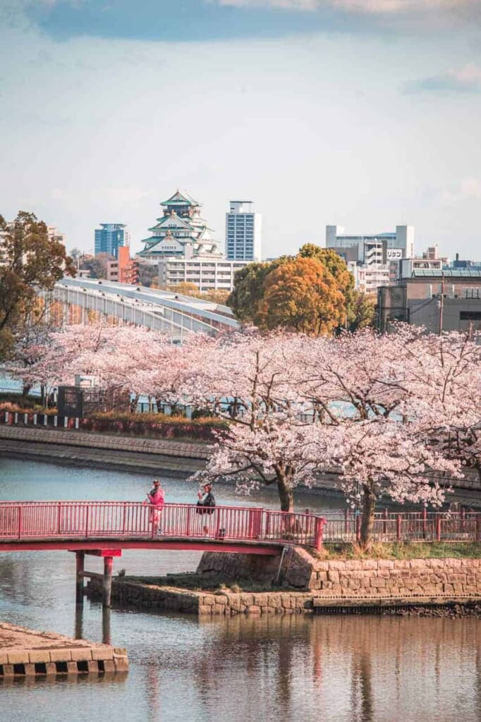 Sakura in Osaka mit der Skyline der Stadt.