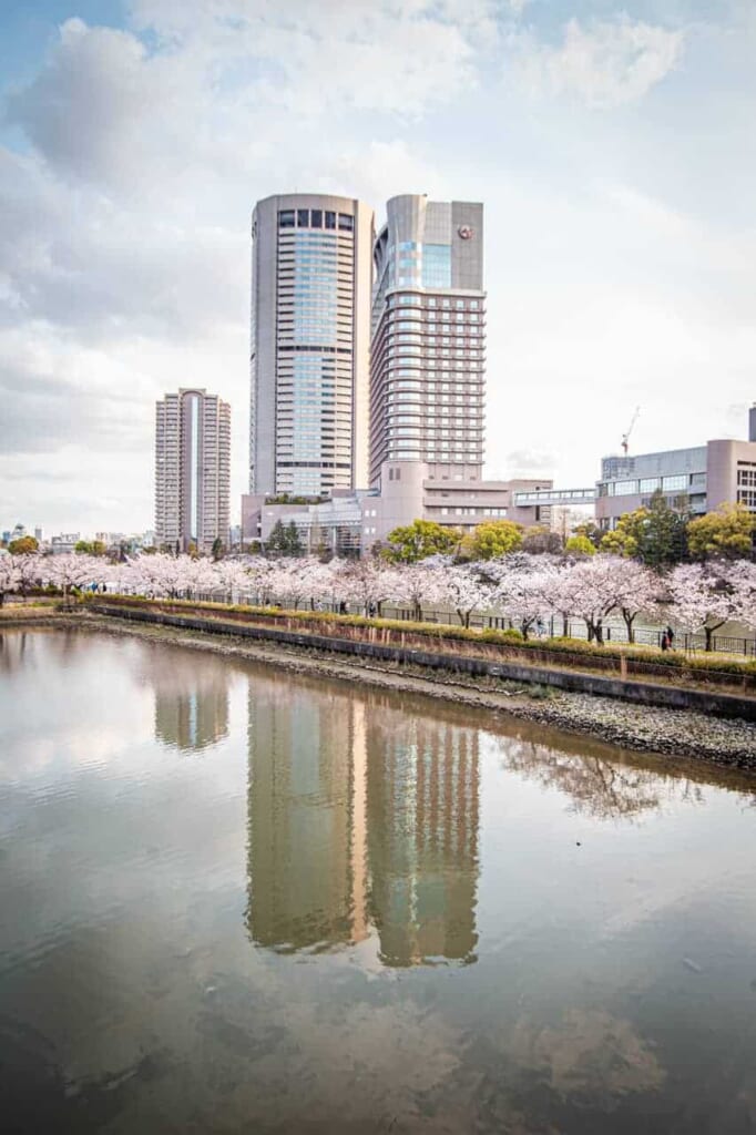 Sakura entlang des Flusses Okawa in Osaka.