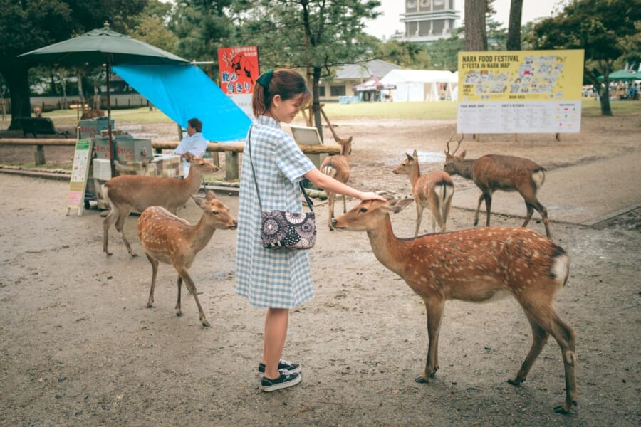 Hirsche umringen eine Frau im Nara-Park.