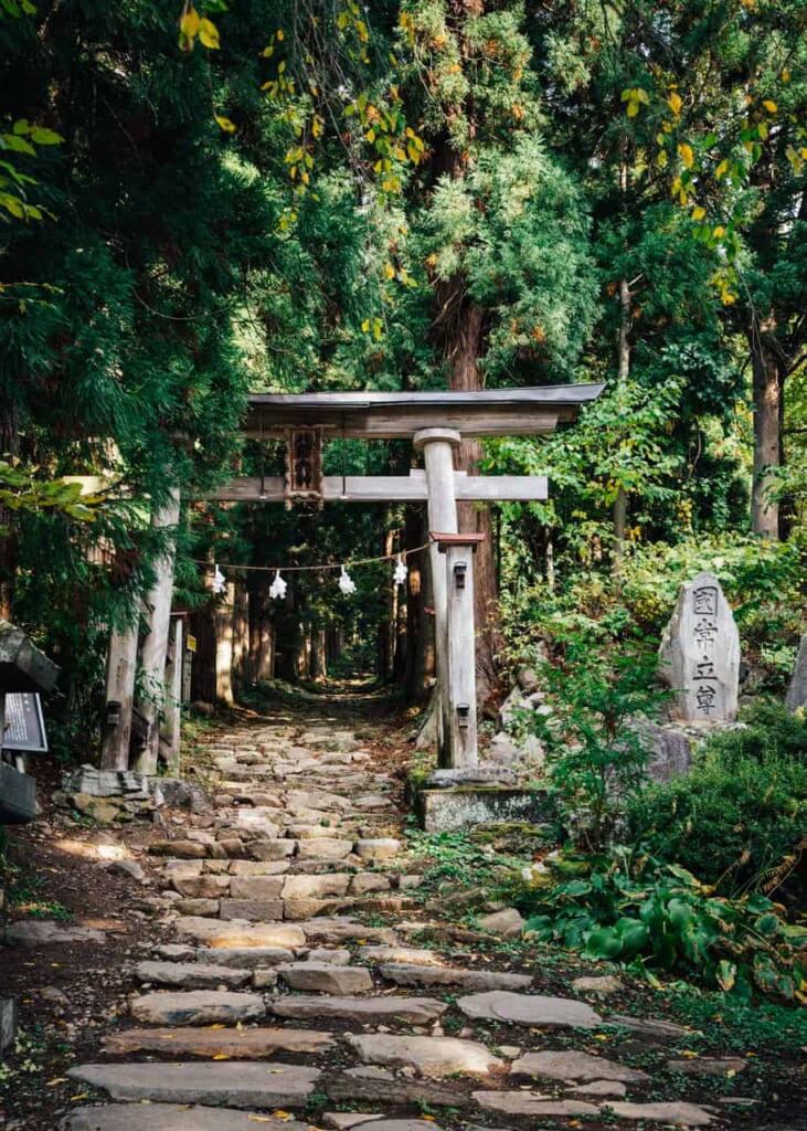 Weg durch japanische Torii-Bögen in einen Wald.