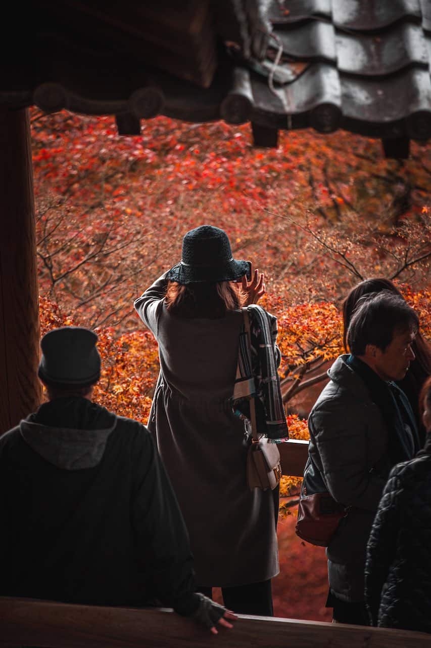 Menschen betrachten das Herbstlaub in Japan.