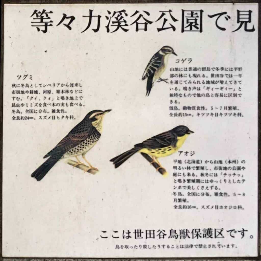 Vogelarten im Todoroki-Tal.