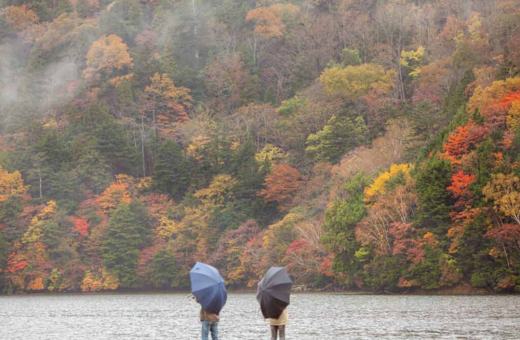 Die Herbstlaubsaison in Japan.