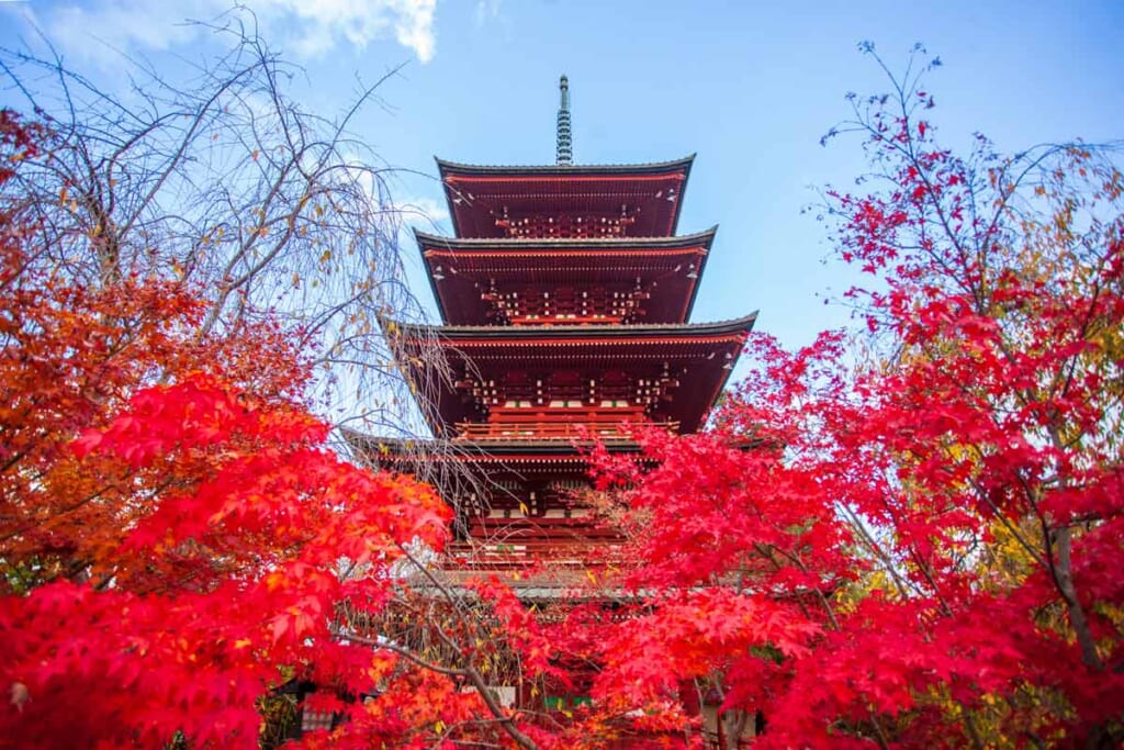 Pagode umgeben von roten Herbstfarben in Tohoku, Japan