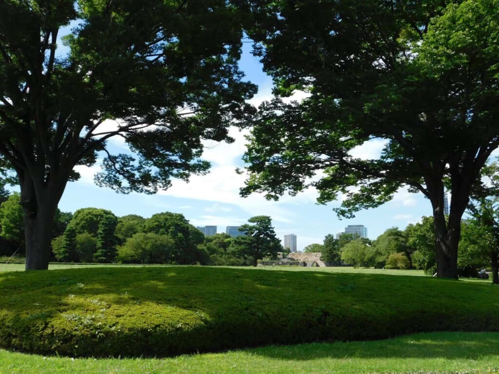 Garten im Kaiserpalast Tokio