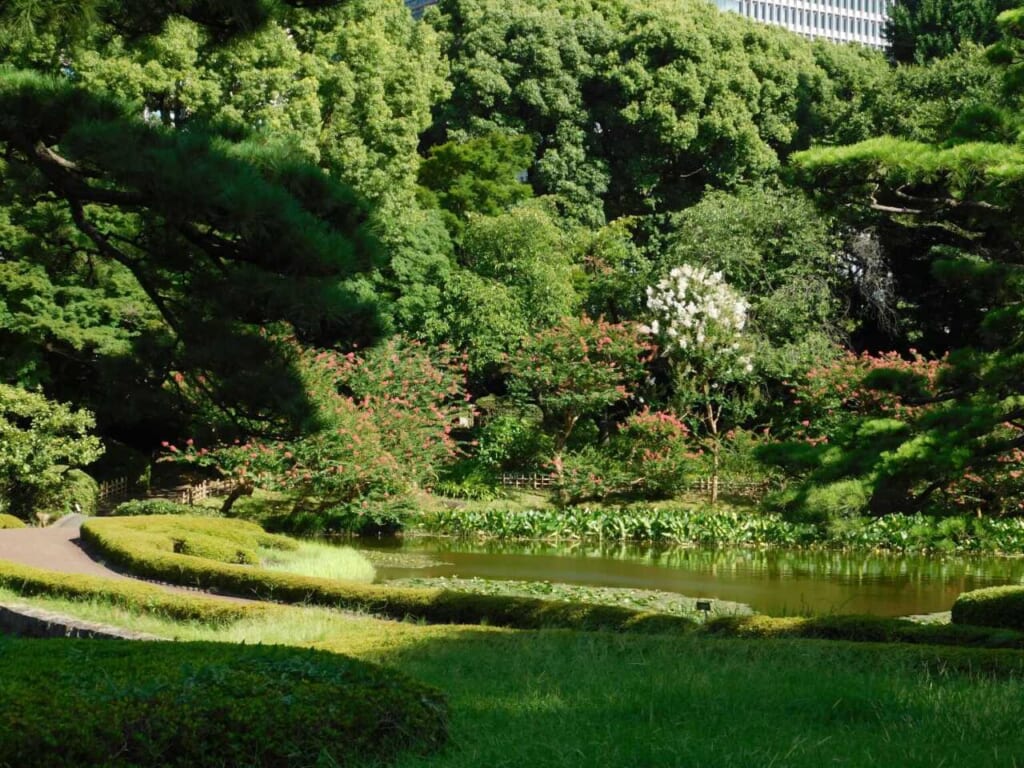 Teich im Ninomaru-Bereich