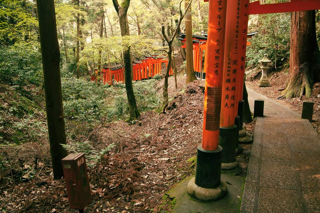 Tore im Wald von Fushimi Inari Taisha