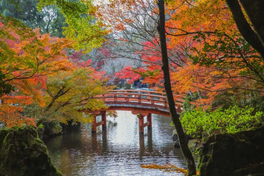 Rote Brücke umgeben vom Herbstlaub in Japan
