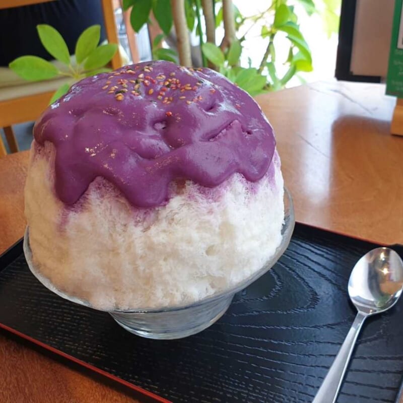 Auf den Fußspuren von Sen no Rikyu Dem Meister der Teezeremonie