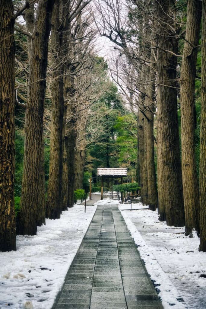 Otaguro-Park im Winter