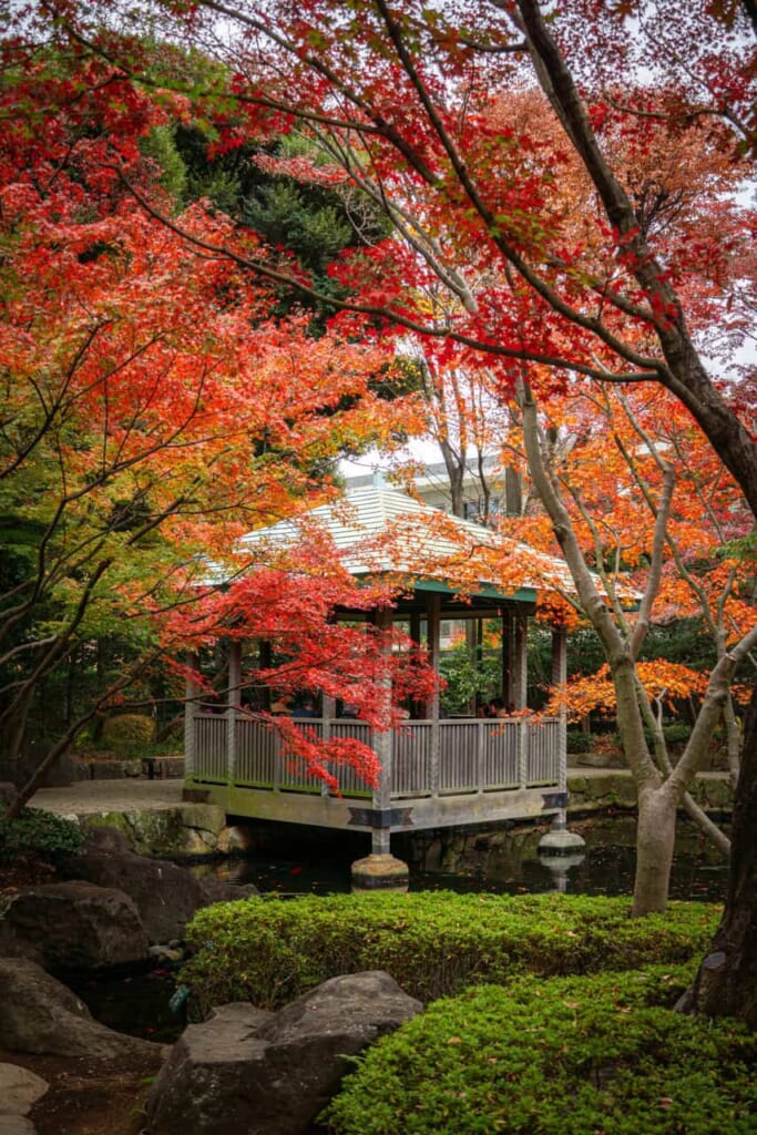 Pavillon im Otaguro-Park mit Herbstlaub