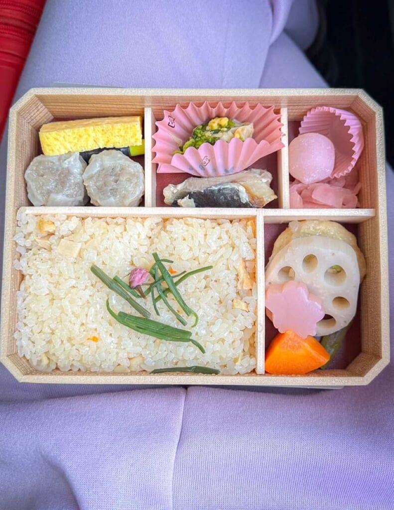 Farbenfrohes Zug-Bento