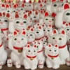 Maneki-neko am Gotokuji-Tempel in Tokio