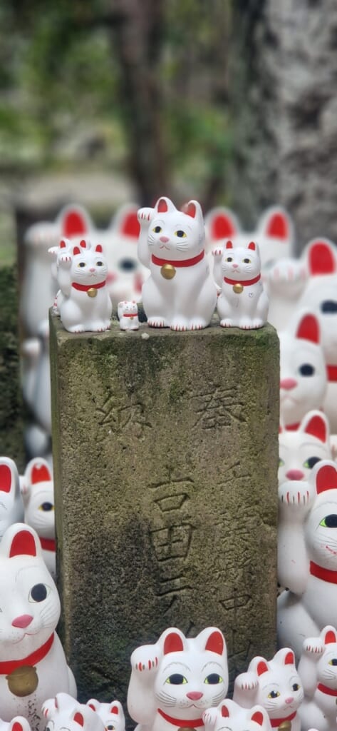 Glückskatzen am Gotokuji-Tempel in Tokio