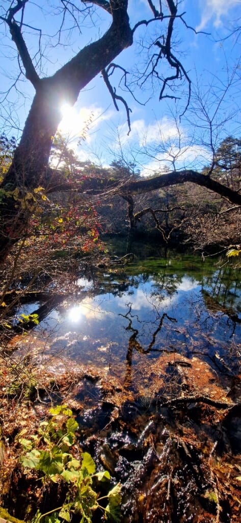 Goshikinuma-Teiche in Aizu-Wakamatsu