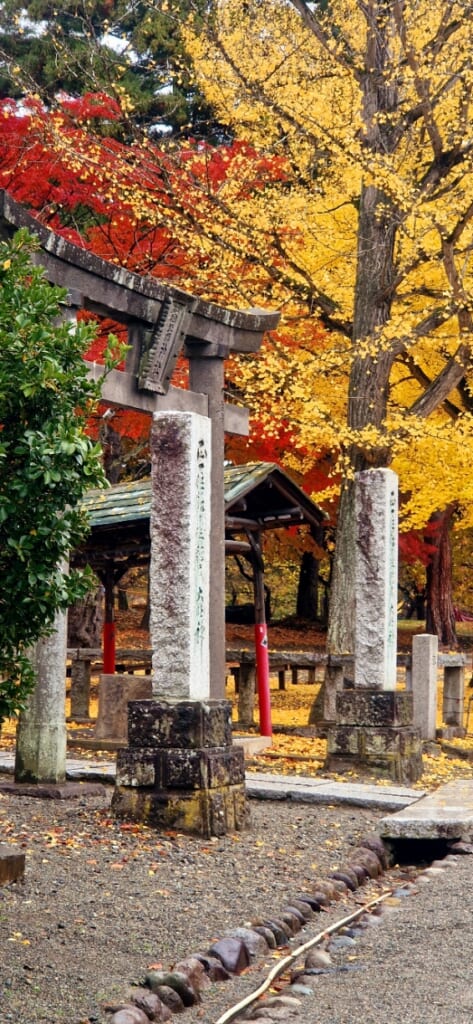 Torii-Tor auf dem Gelände der Burg Tsuruga in Aizu-Wakamatsu