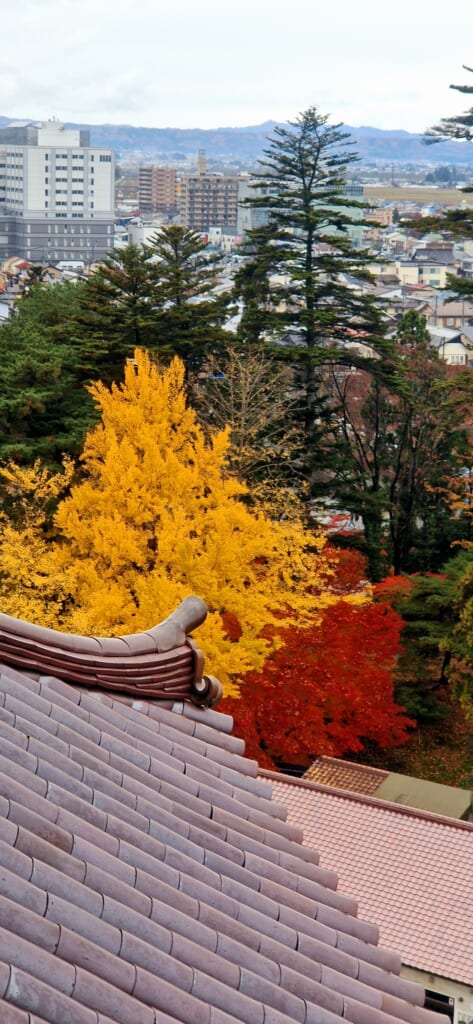 Blick von der Burg Tsuruga