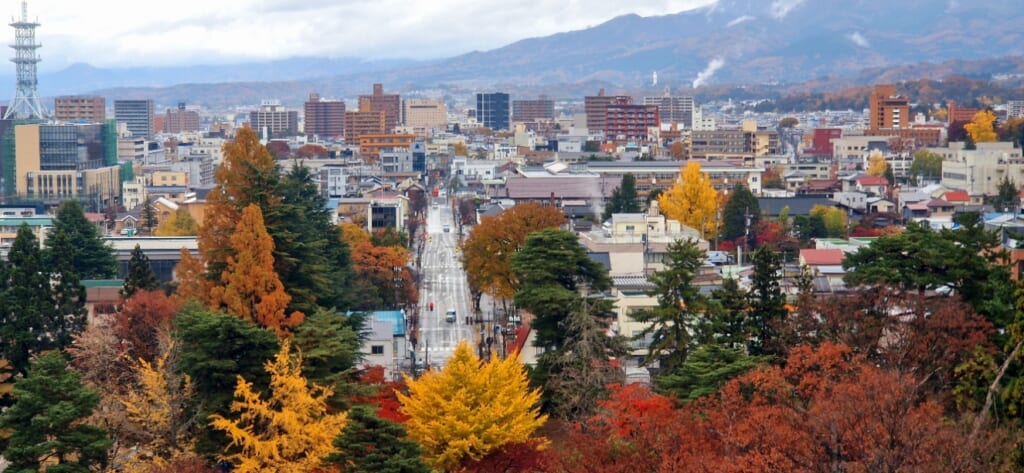 Blick auf Aizu-Wakamatsu von der Burg Tsuruga