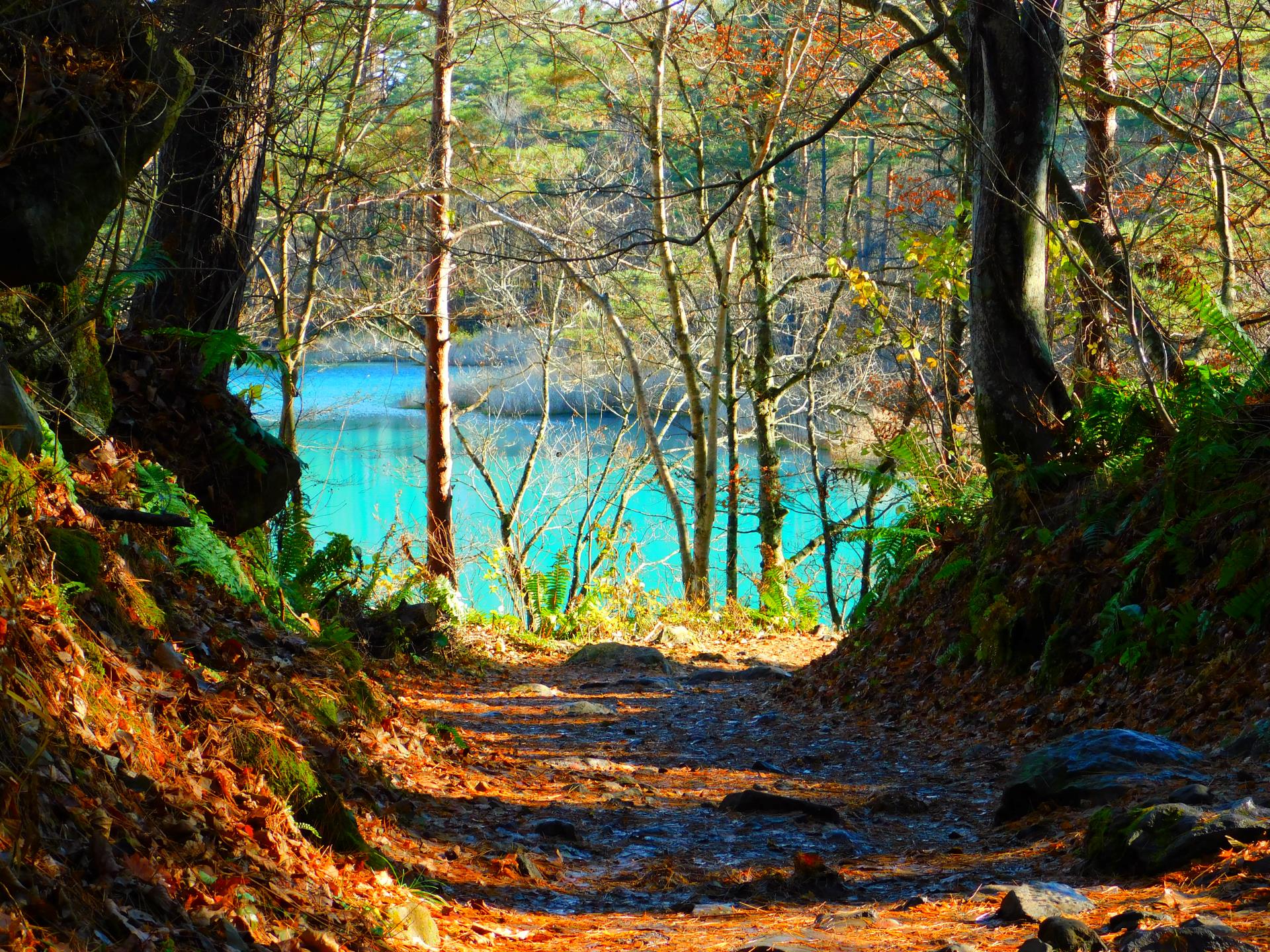 Ein herbstlicher Ausflug nach Aizu-Wakamatsu und Umgebung