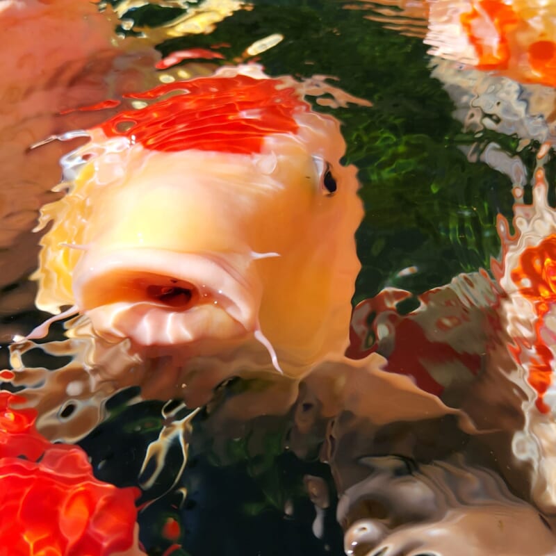 Was Heißt Ich Liebe Dich Auf Japanisch Ich liebe dich auf Japanisch: So drückt ihr eure Gefühle aus!