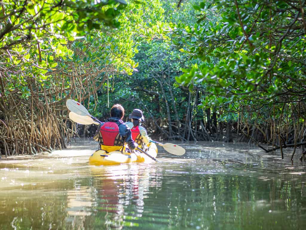 Kayak sul fiume a Okinawa