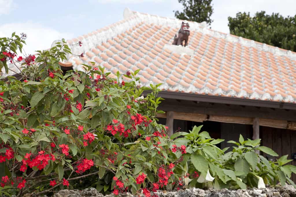 Casa tradizionale con tetto di tegole rosse all'isola di Taketomi