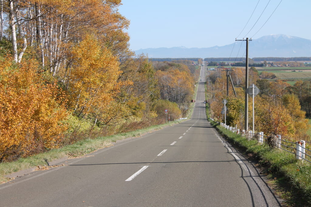 Strada in discesa nella campagna dello Hokkaido