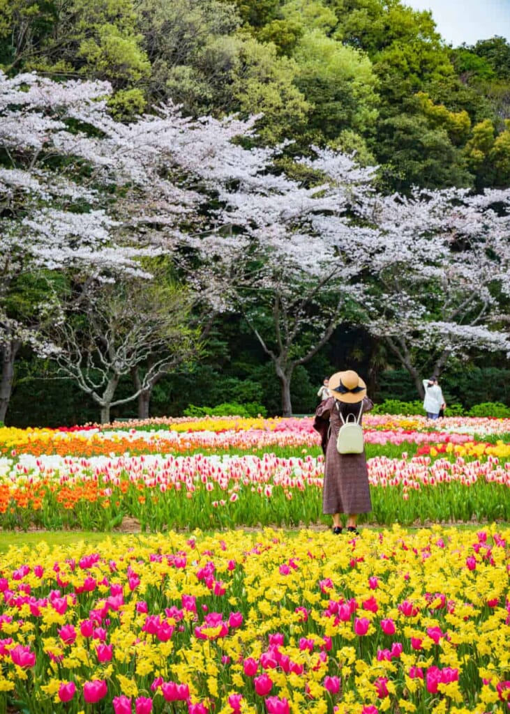 Aiuole fiorite allo Hamamatsu Flower Park