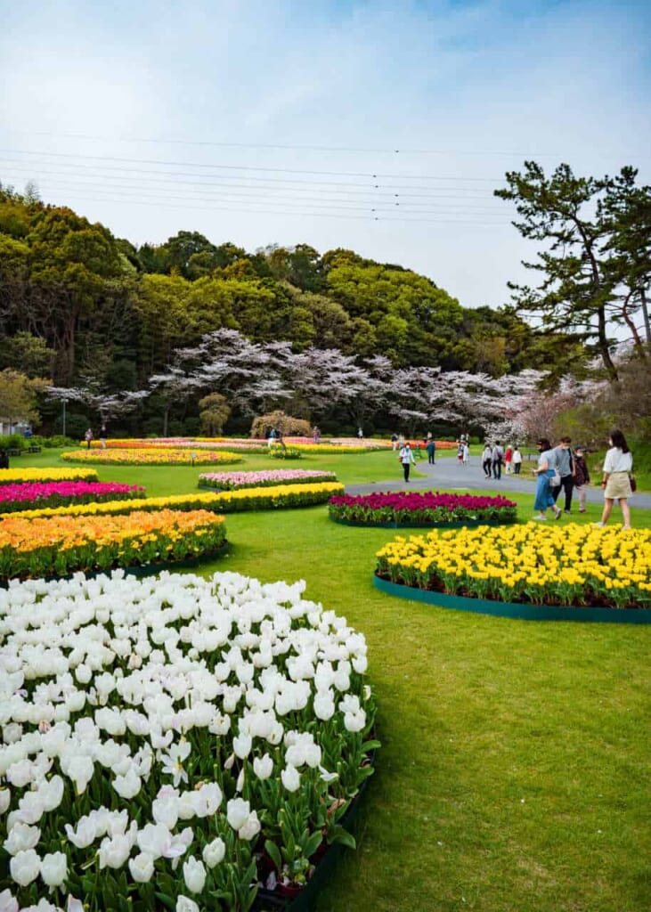 Hamamatsu Flower Park