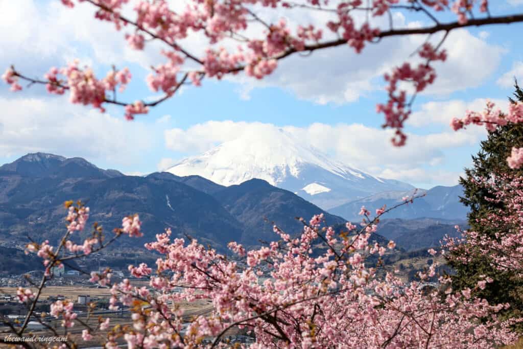 Vista sul Monte Fuji dalla collina