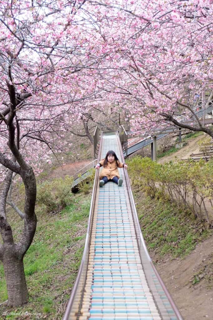 Bambina che scende dallo scivolo sotto i sakura