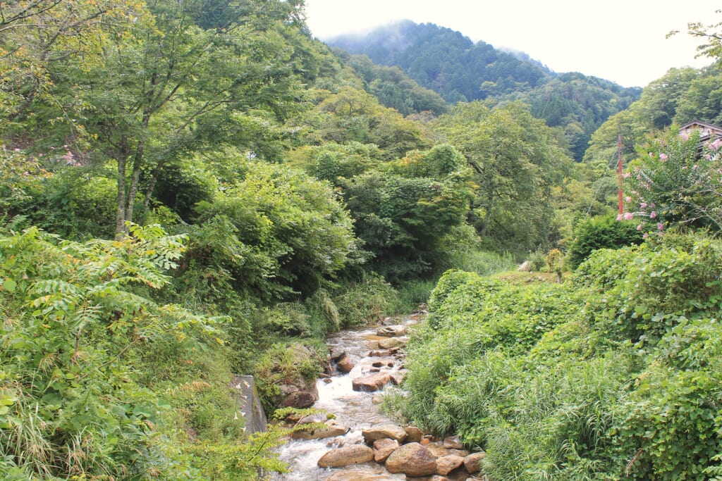 nakasendo trekking nella valle di kiso