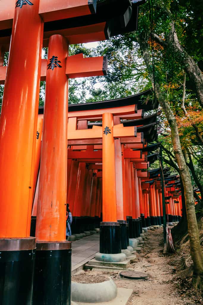 Dettaglio dei torii rossi del Fushimi Inari