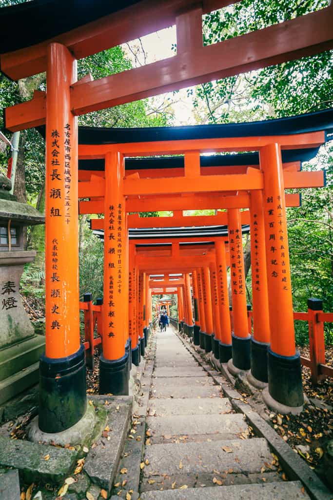 Serie di torii al Fushimi Inari Taisha