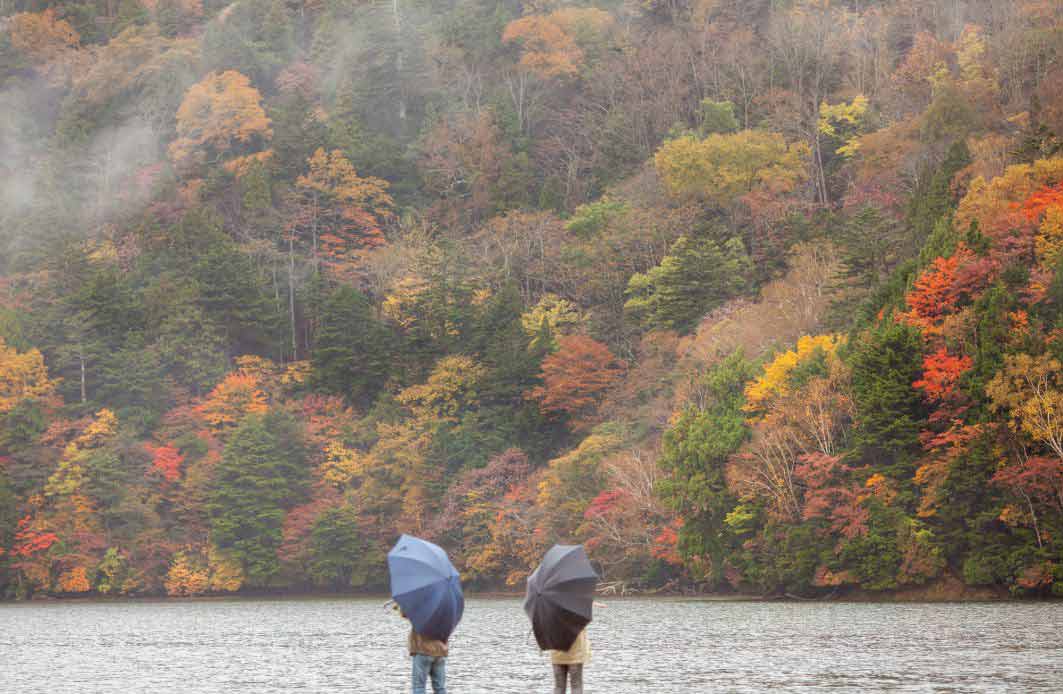 Autunno in Giappone: i Luoghi Migliori per il Foliage nel 2023