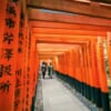 Fila di torii al Fushimi Inari