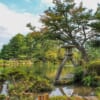 Il giardino Kenrokuen di Kanazawa