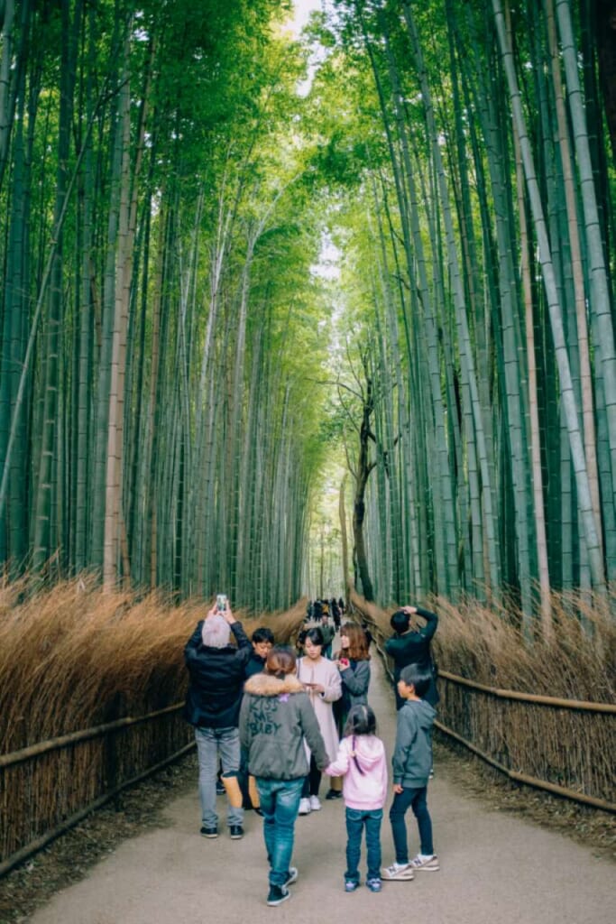 Un gruppo di turisti fotografano la foresta di bambù di Arashiyama