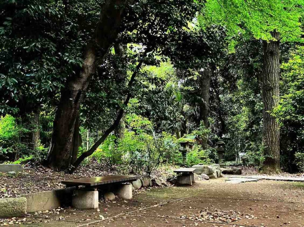 Giardino del santuario Yoyogi Hachimangu a Tokyo