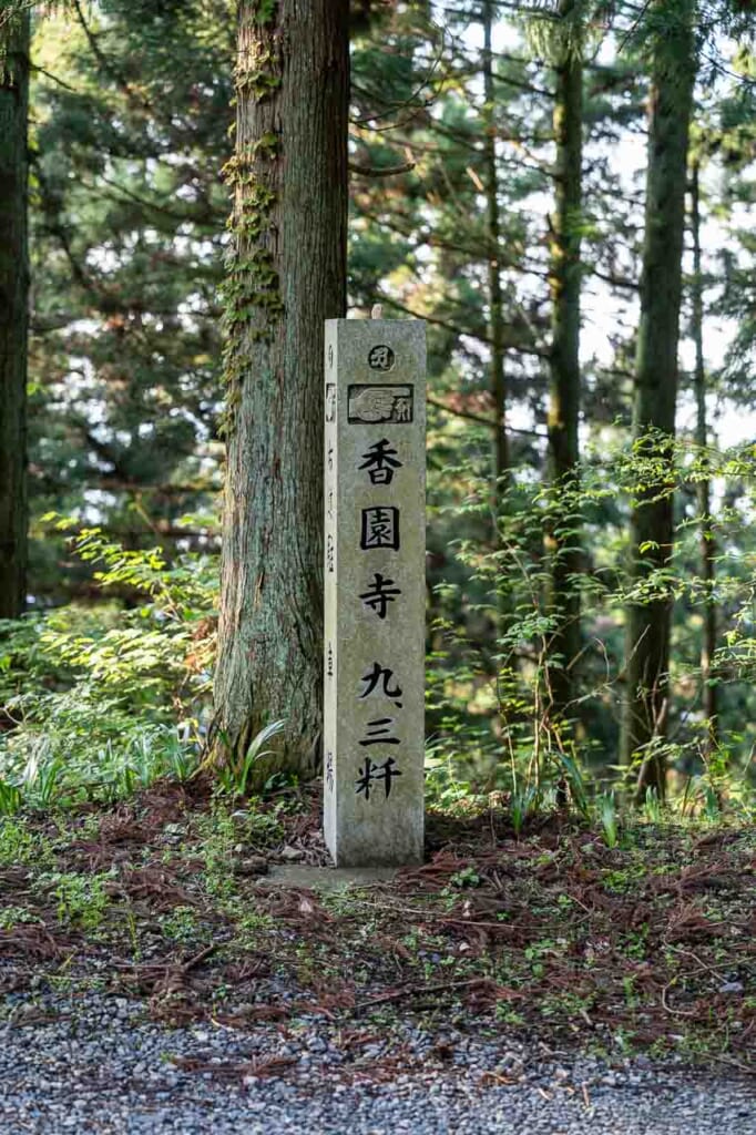 Indicazione in pietra nel bosco