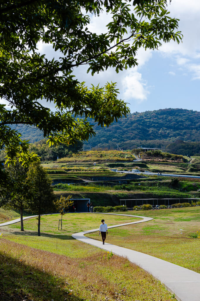 il museo dell’isola di Teshima immerso nella natura