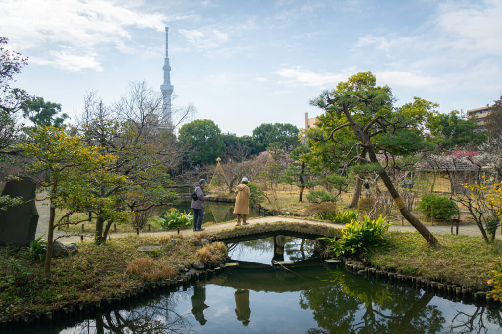 Giardino con vista sul Tokyo Skytree a Tokyo