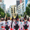 Ballerine di Awa Odori a Koenji, Tokyo